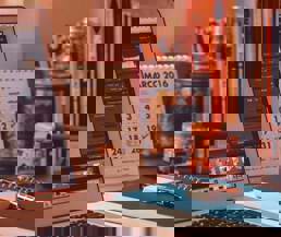 Specialised Umbraco Freelancer Services